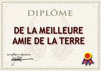 diplome